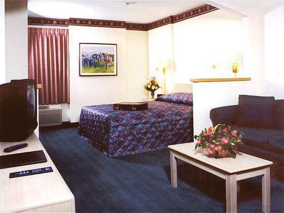 Comfort Inn Ocala Silver Springs Rum bild